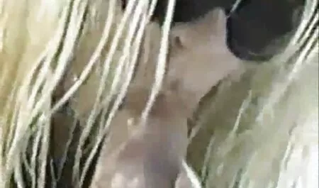 پیر و دانلود فیلم سوپر خارجی جدید نوجوان, سبزه, وب کم